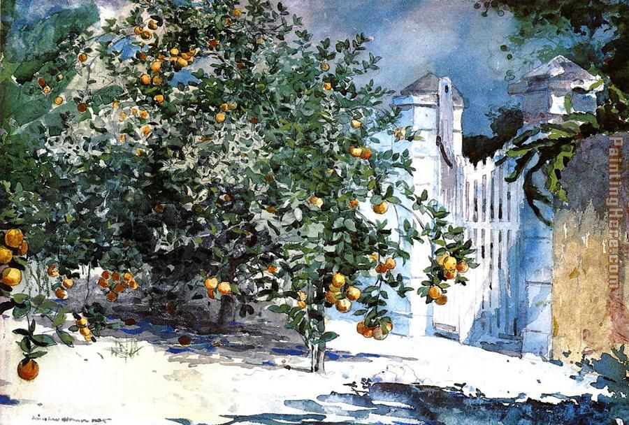 Orange Tree Nassau painting - Winslow Homer Orange Tree Nassau art painting